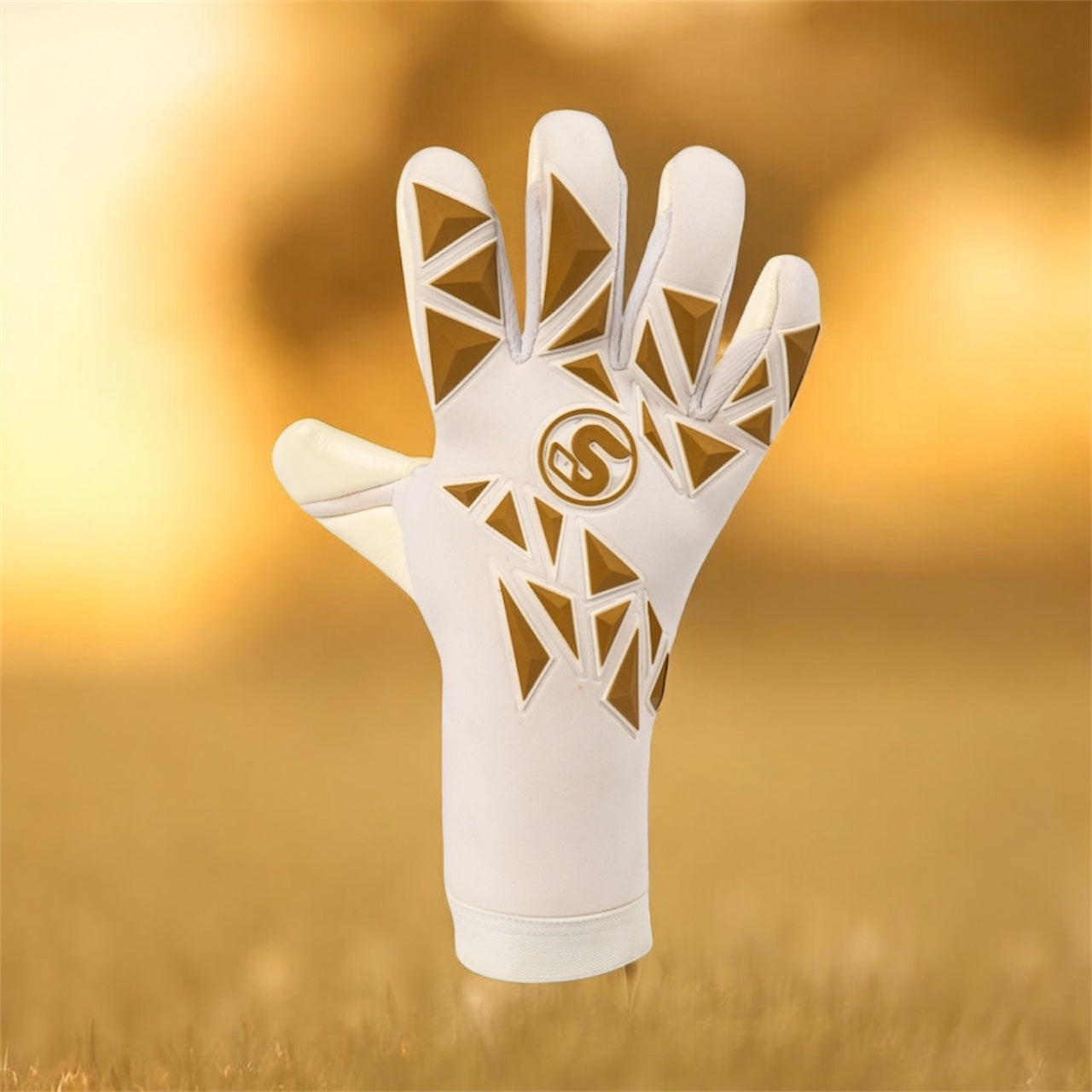 SCK Geiko Golden Believe Goalkeeper Gloves